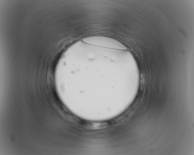 X0000112750623200910011155