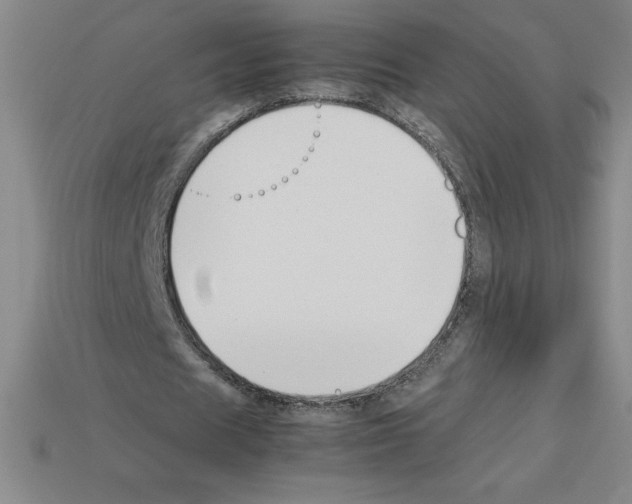 X0000112750625200910011155