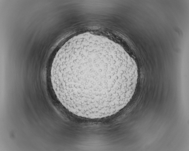 X0000112750626200910011155