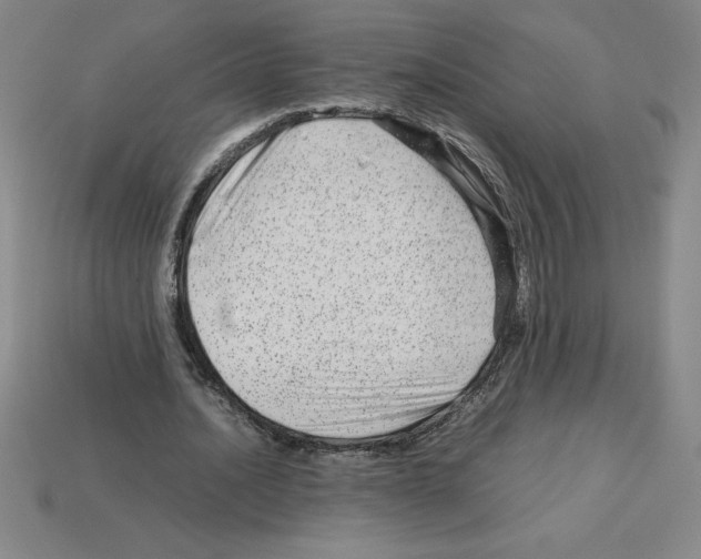 X0000112750628200910011155