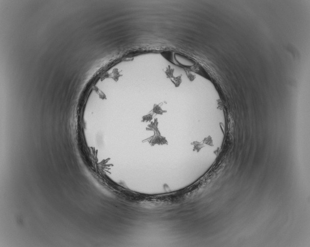 X0000112750630200910011155