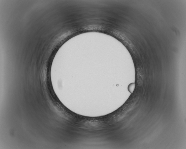 X0000112750631200910011155