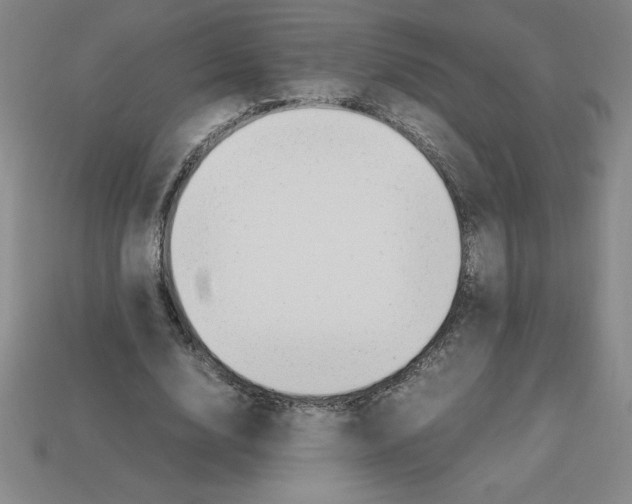 X0000112750632200910011155