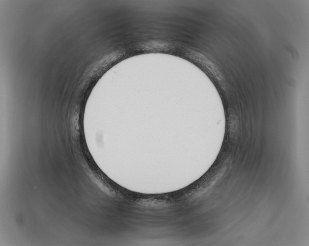 X0000112750633200910011155