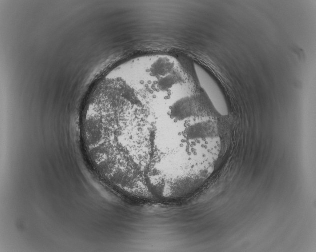 X0000112750634200910011155