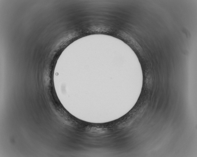 X0000112750635200910011155