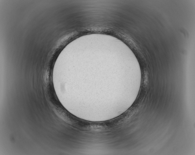 X0000112750636200910011155