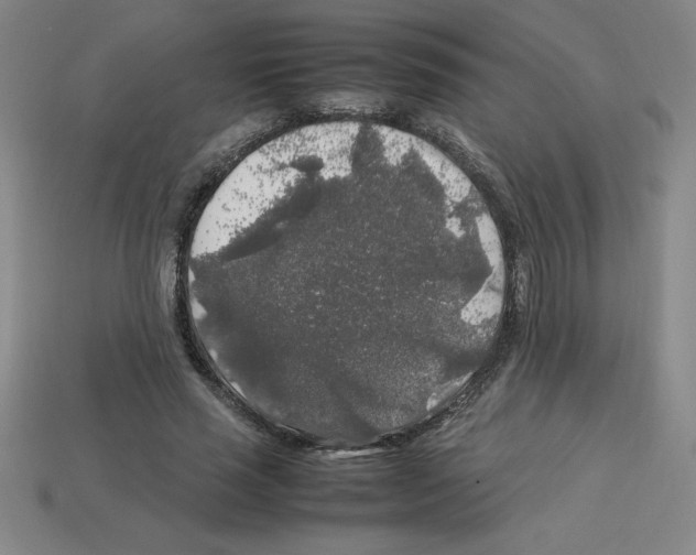 X0000112750637200910011155