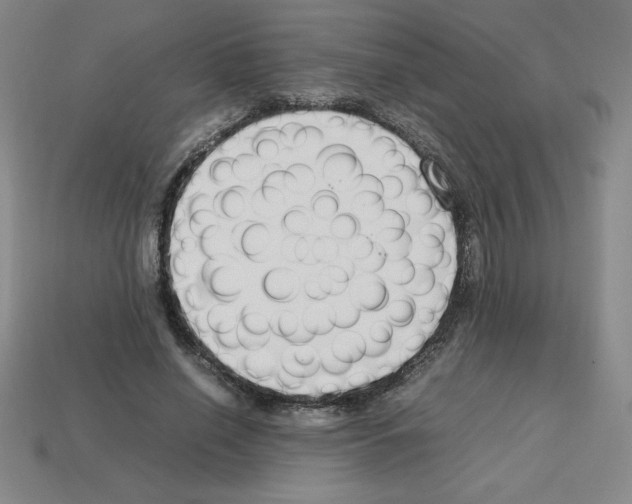 X0000112750638200910011155