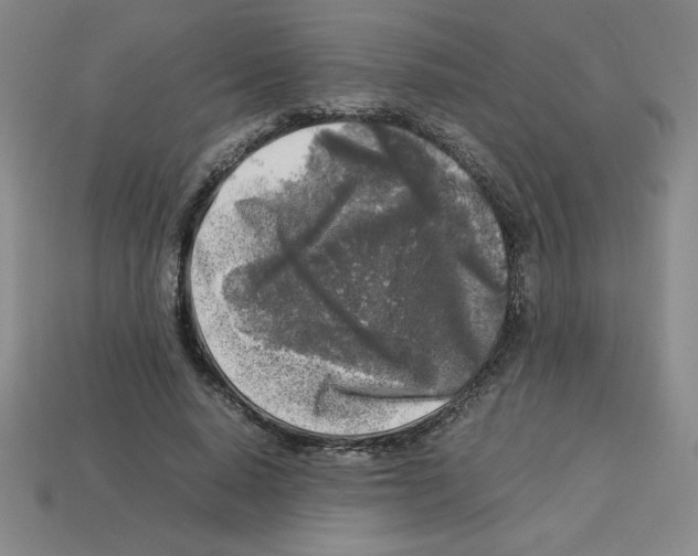 X0000112750640200910011155