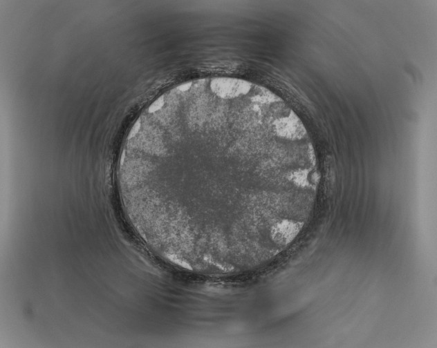 X0000112750641200910011155