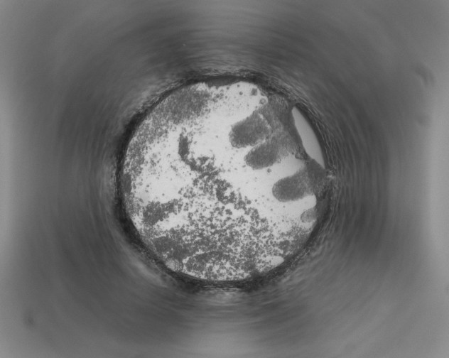 X0000112750642200910011155