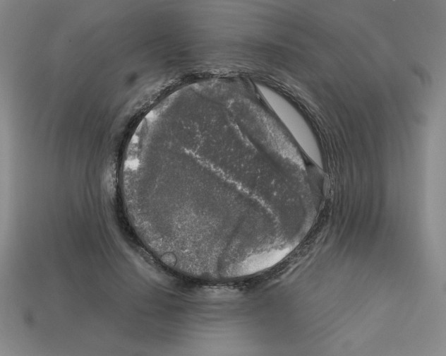 X0000112750644200910011155