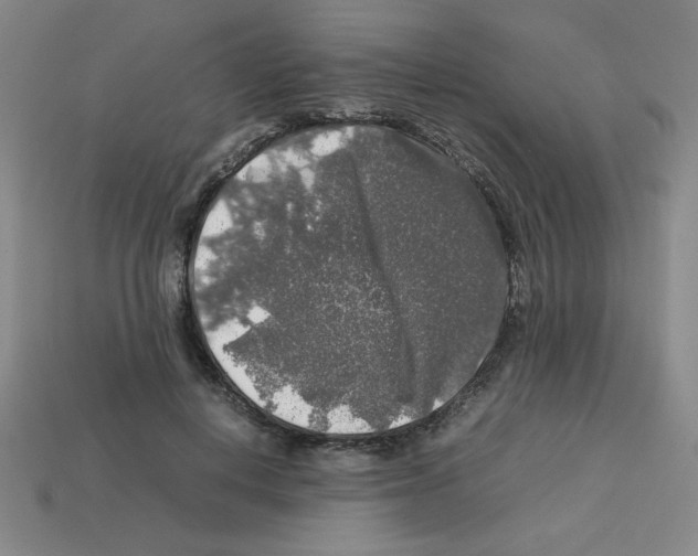 X0000112750648200910011155