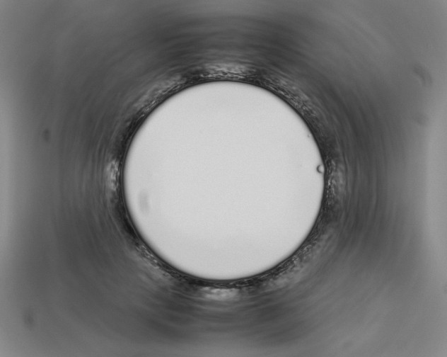 X0000112750649200910011155