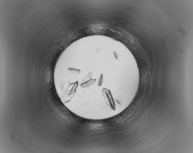 X0000112750651200910011155