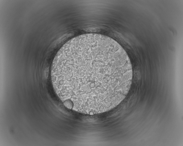 X0000112750652200910011155