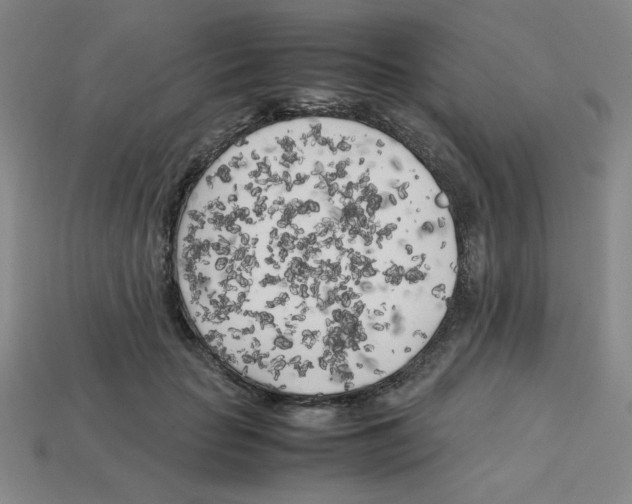 X0000112750653200910011155