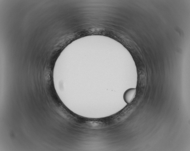 X0000112750654200910011155