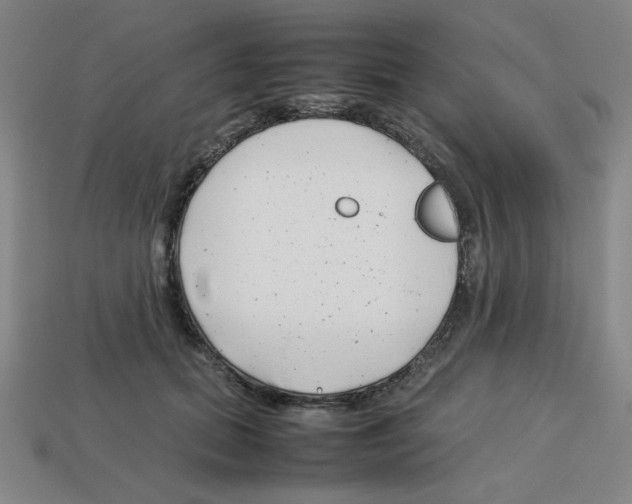 X0000112750655200910011155