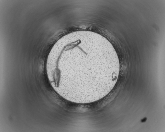 X0000112750656200910011155