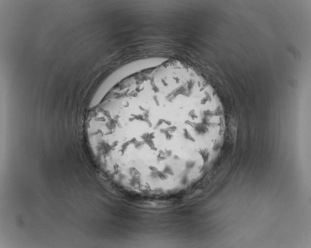 X0000112750657200910011155