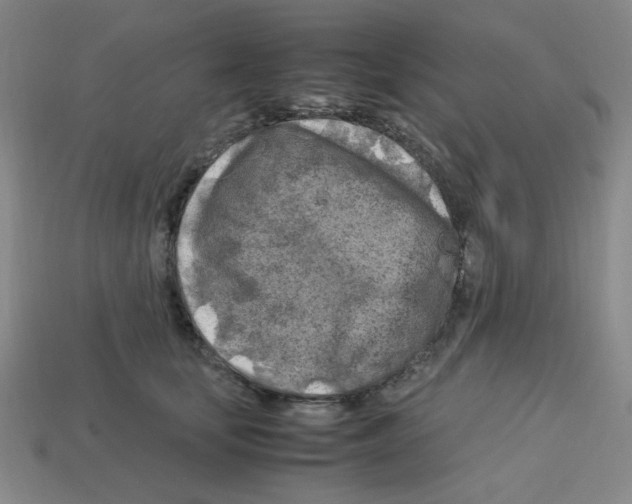 X0000112750659200910011155