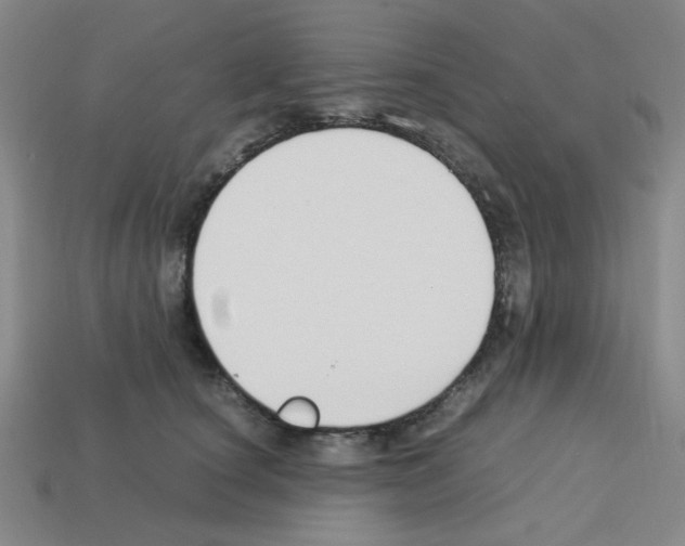 X0000112750660200910011155