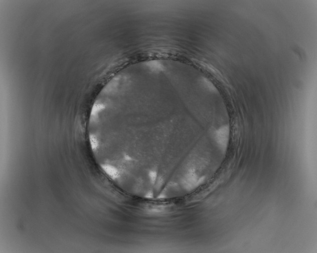 X0000112750661200910011155