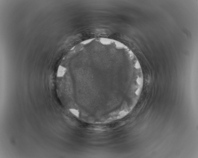 X0000112750663200910011155