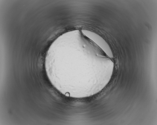 X0000112750664200910011155