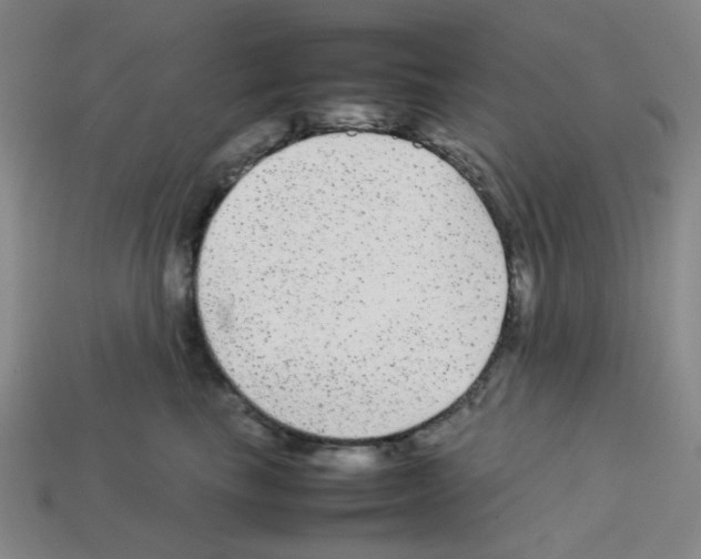 X0000112750665200910011155