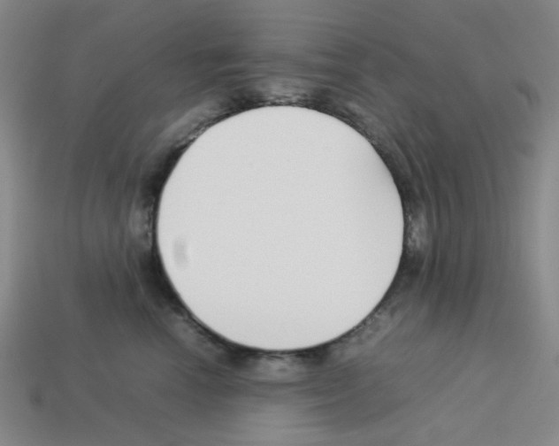 X0000112750666200910011155