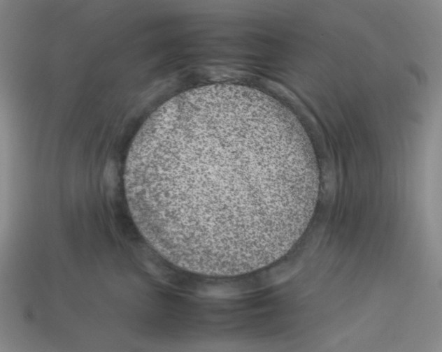 X0000112750667200910011155