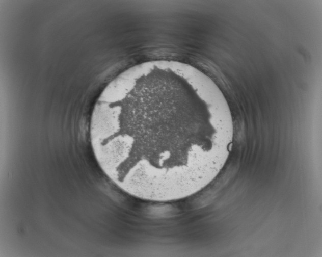 X0000112750669200910011155