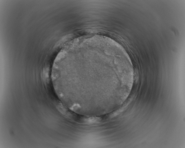 X0000112750670200910011155