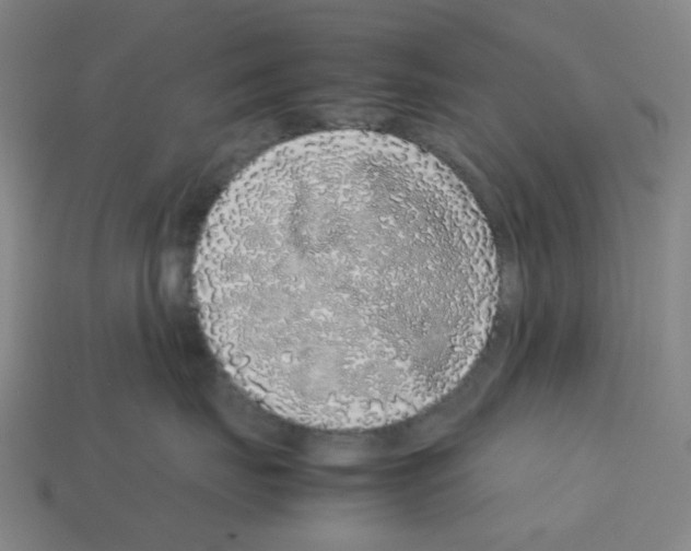 X0000112750671200910011155