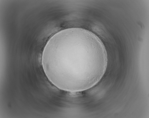 X0000112750672200910011155