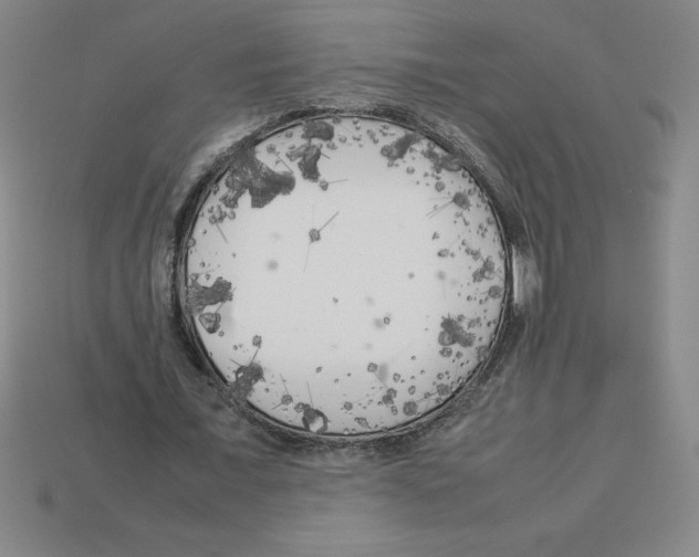 X0000112750675200910011155