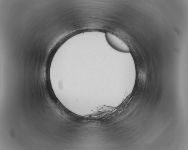 X0000112750676200910011155