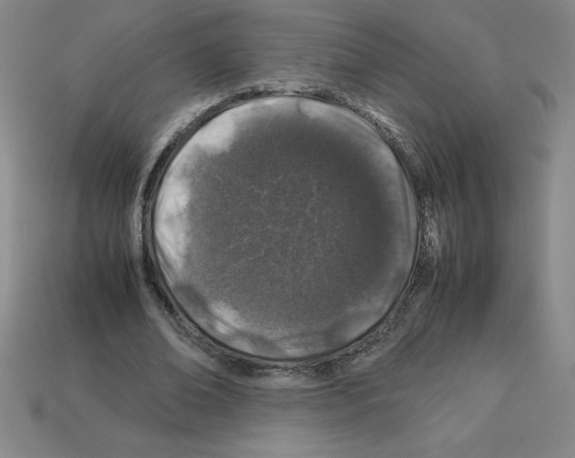 X0000112750678200910011155