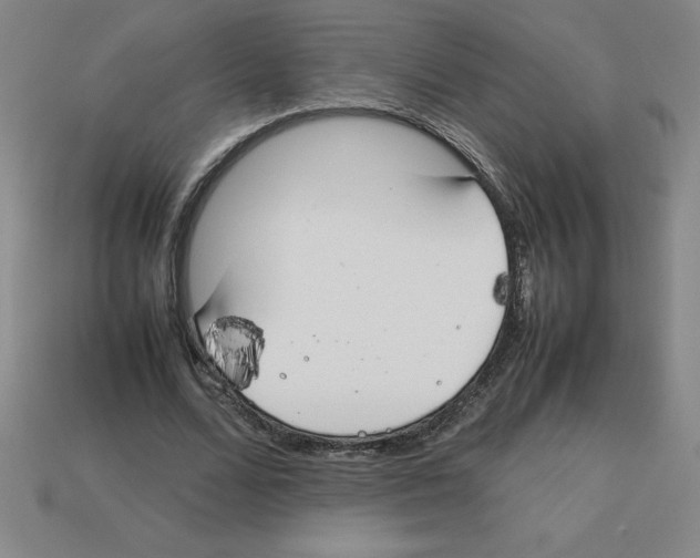 X0000112750680200910011154