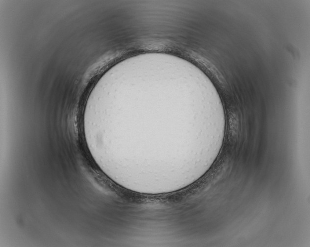 X0000112750682200910011154