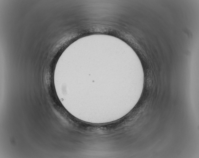 X0000112750683200910011154