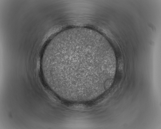 X0000112750685200910011154