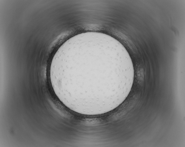 X0000112750686200910011154