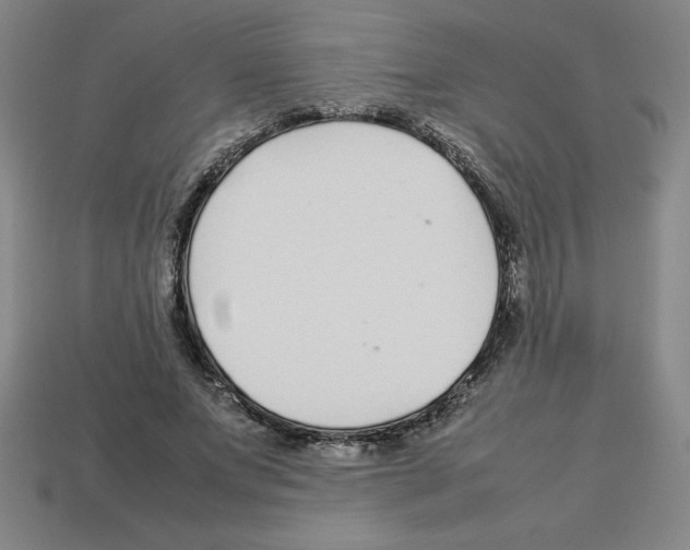 X0000112750687200910011154