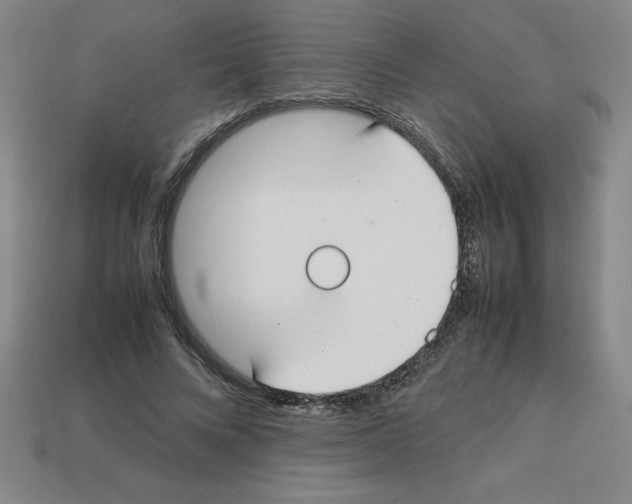 X0000112750688200910011154