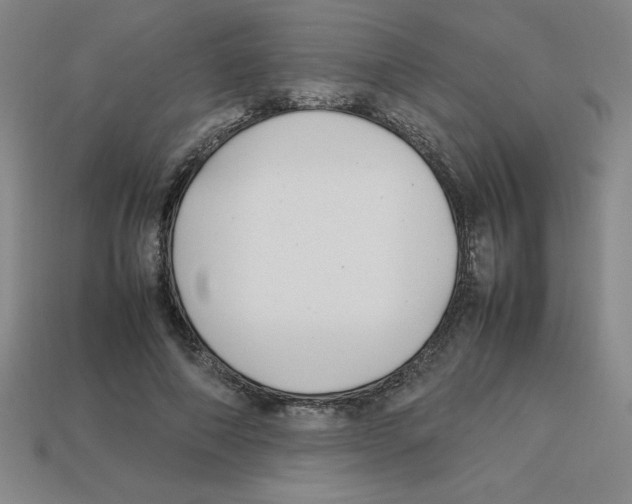 X0000112750690200910011154