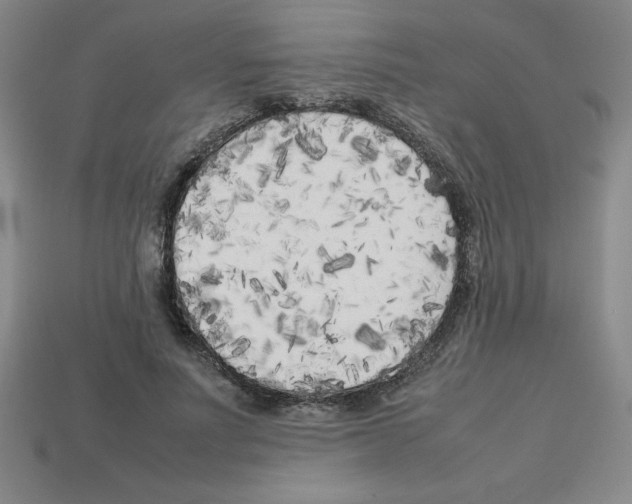 X0000112750691200910011154